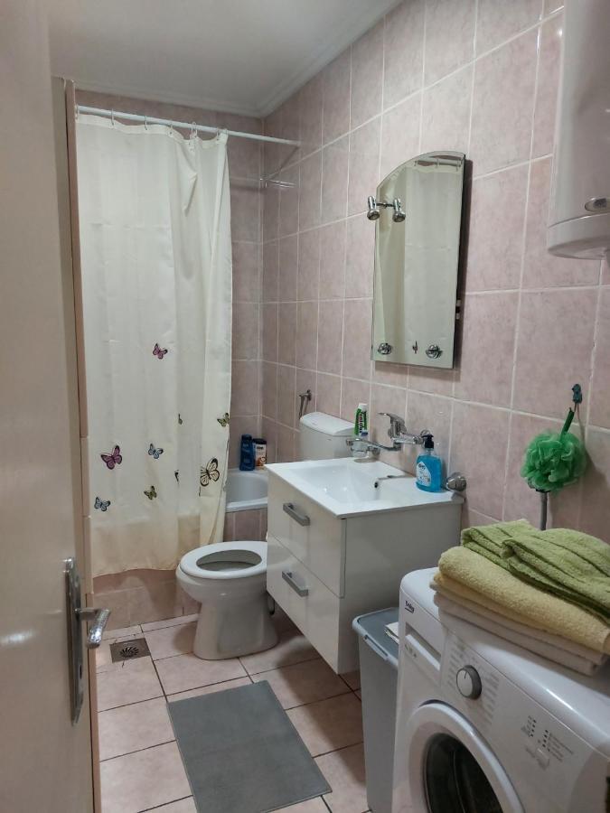 Apartment City Center ノヴィ・サド エクステリア 写真